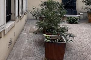 Local commercial ERP 130 m²  au cœur du quartier Maubert-Mutualité-Bd Saint-Germain