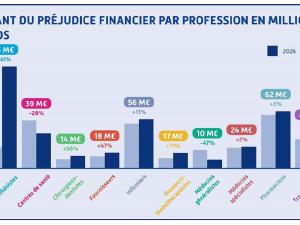  alt="Fraude à l'assurance maladie : quels sont les professionnels qui ont le plus fraudé en 2024?"